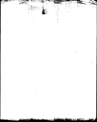 3402