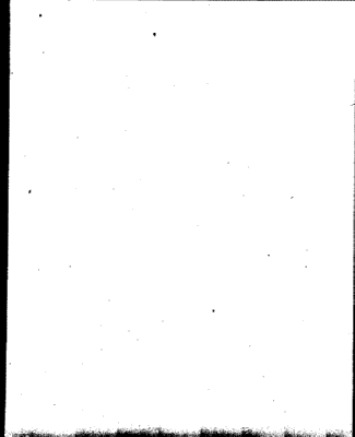 3404